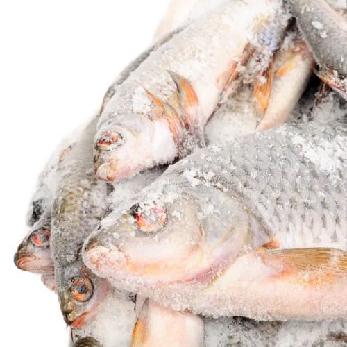 Frozen fish