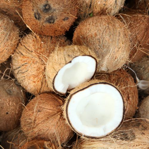 Kelapa