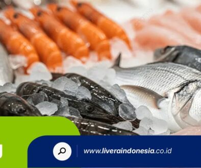 PT LIVERA INDONESIA HUB BLOG1