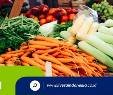 PT LIVERA INDONESIA HUB BLOG2