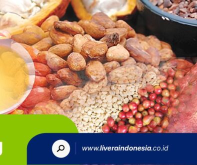 PT LIVERA INDONESIA HUB BLOG3