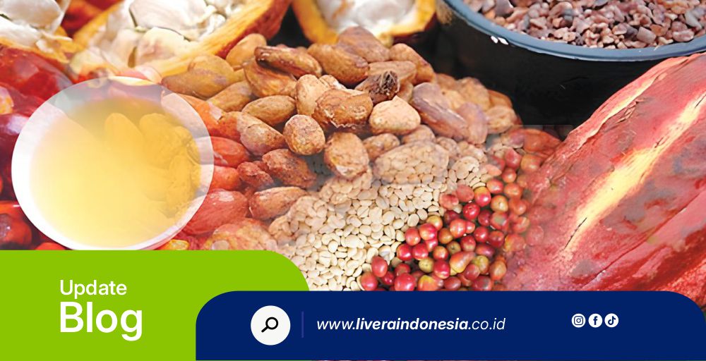 PT LIVERA INDONESIA HUB BLOG3